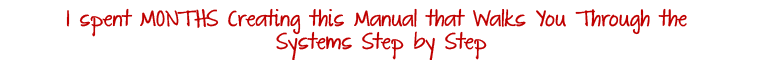 I spent MONTHS Creating this Manual that Walks You Through the Systems Step by Step